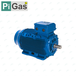 نمایش جزئیات برای موتور الکتریکی تک فاز 2.2 کیلووات WEG تصویر موتور الکتریکی تک فاز 2.2 کیلووات WEG