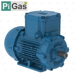 نمایش جزئیات برای الکتروموتور ضد انفجار 2 اسب بخار 1.5 کیلووات تصویر الکتروموتور ضد انفجار 2 اسب بخار 1.5 کیلووات